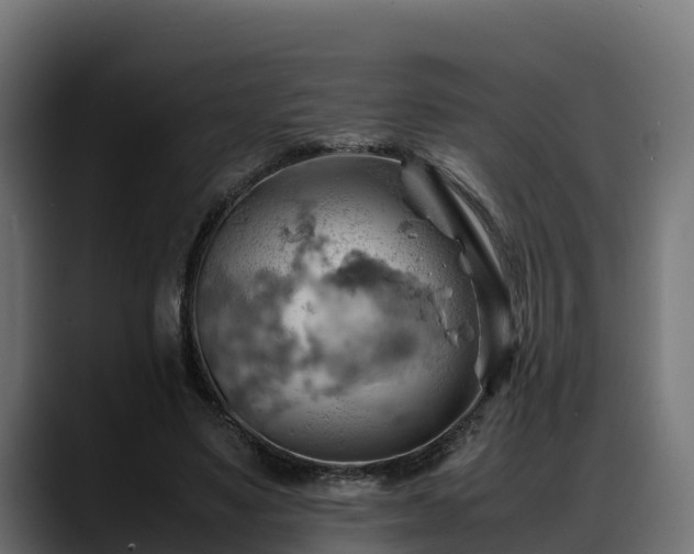 X0000088370491200705291330