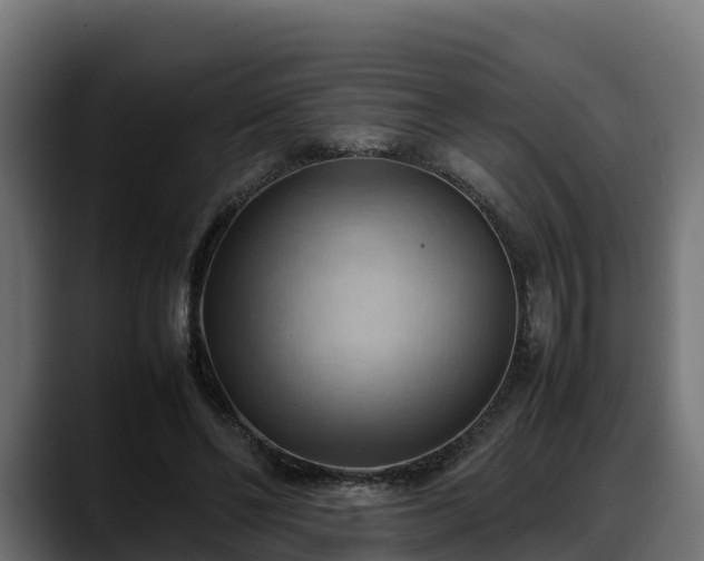 X0000088370494200705291330
