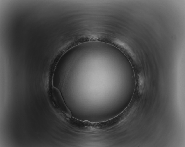X0000088370496200705291330