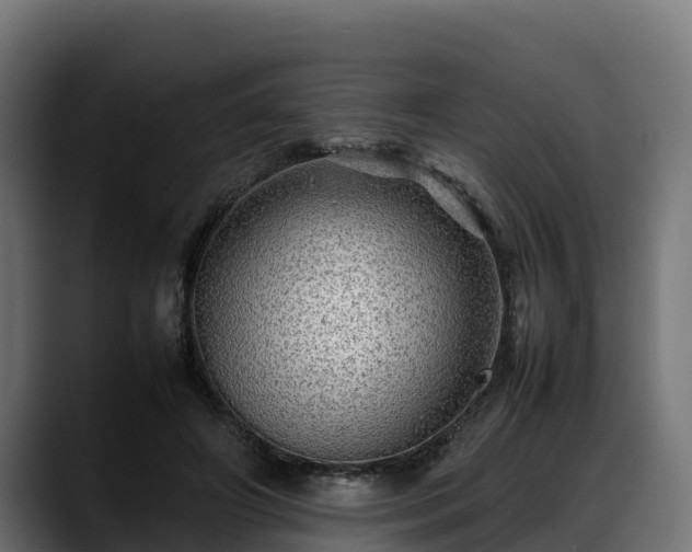 X0000088370498200705291330
