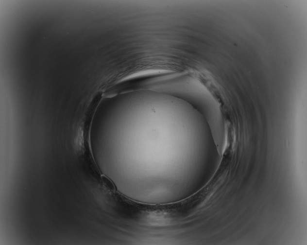 X0000088370500200705291330