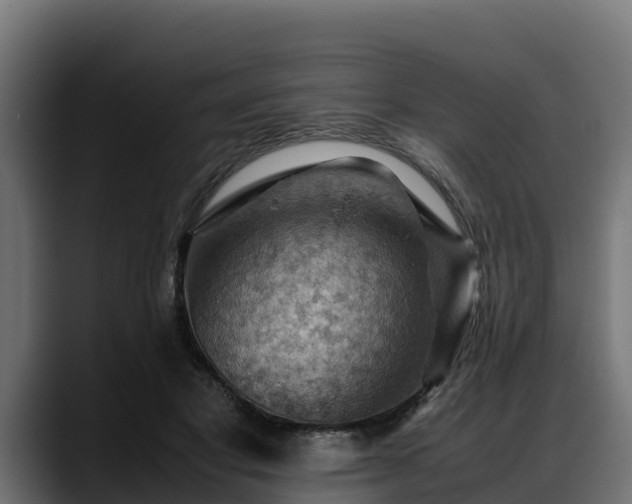 X0000088370501200705291330