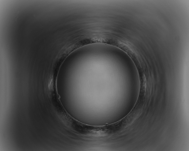 X0000088370502200705291330