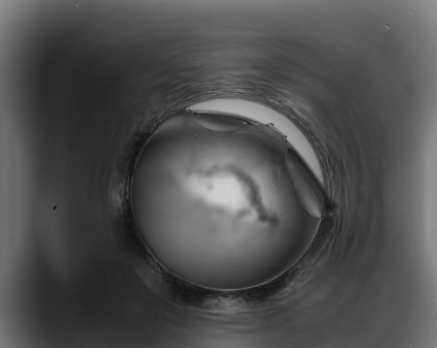 X0000088370503200705291330