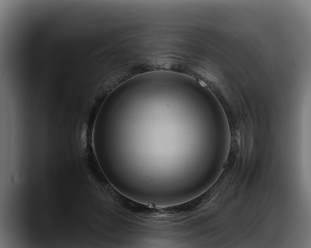 X0000088370504200705291330