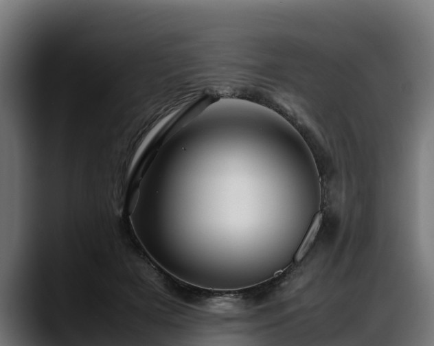 X0000088370505200705291330