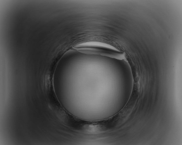 X0000088370506200705291330