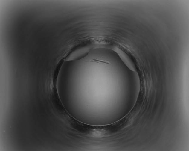 X0000088370508200705291330