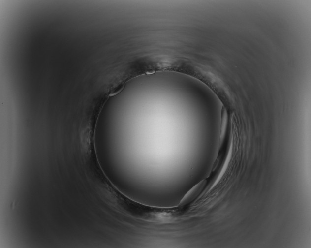 X0000088370509200705291330