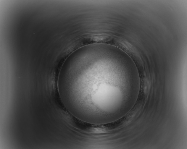 X0000088370510200705291330