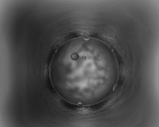 X0000088370511200705291330