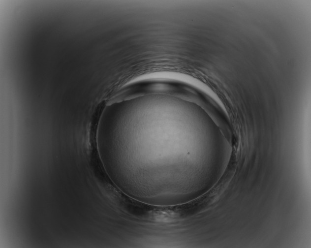 X0000088370512200705291330