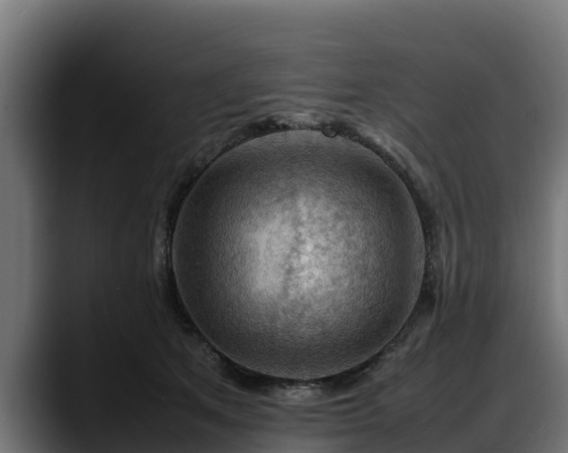 X0000088370513200705291330