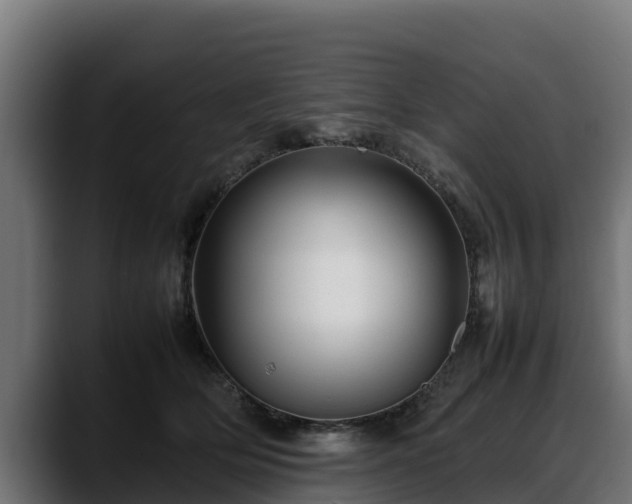 X0000088370514200705291330