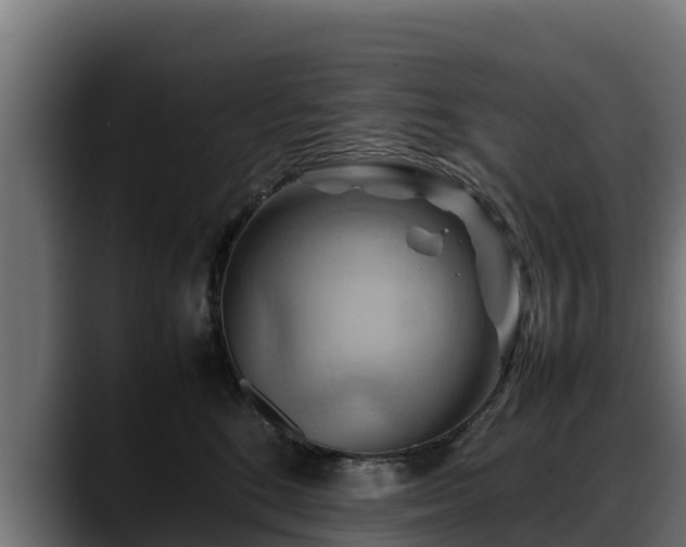X0000088370520200705291330