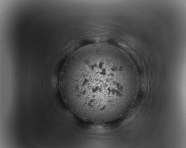 X0000088370523200705291330