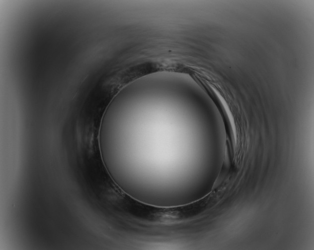 X0000088370525200705291330