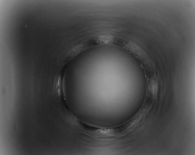 X0000088370526200705291330