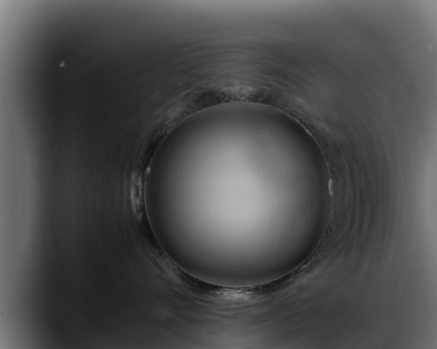 X0000088370528200705291330