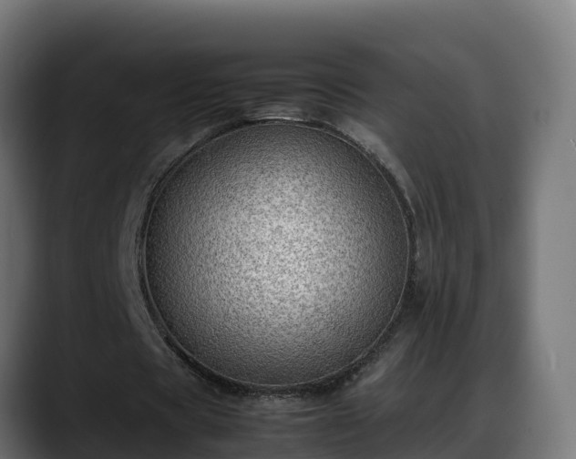 X0000088370529200705291329