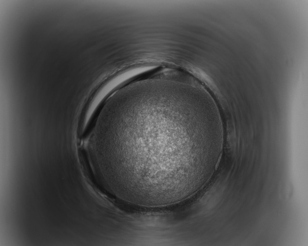 X0000088370530200705291329