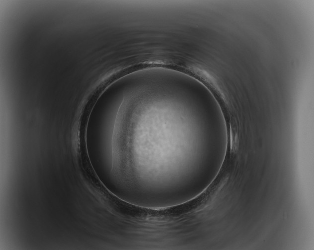 X0000088370531200705291329