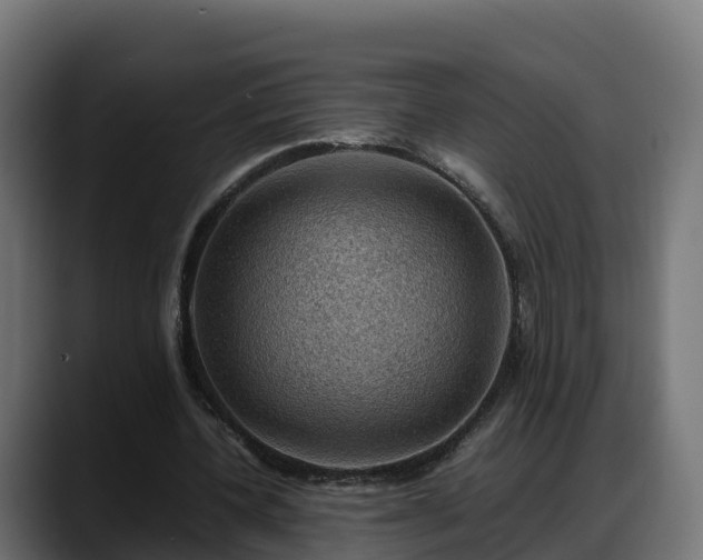 X0000088370532200705291329