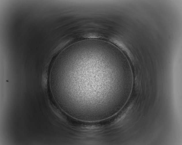 X0000088370533200705291329