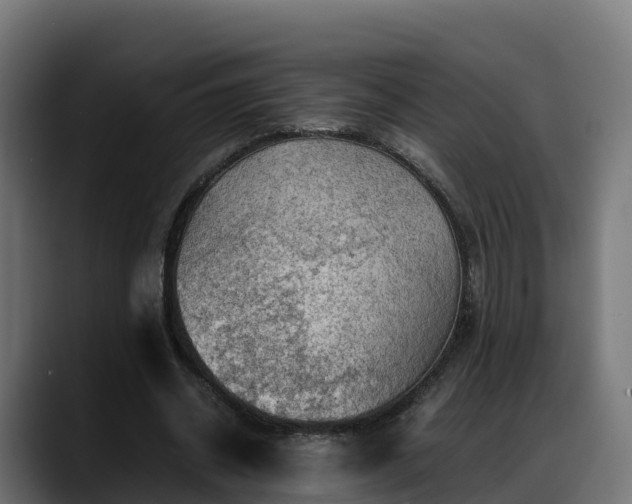 X0000088370534200705291329