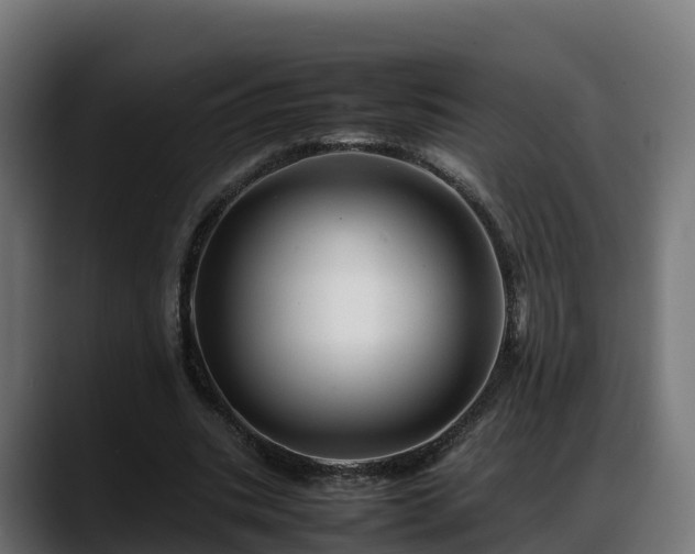 X0000088370535200705291329