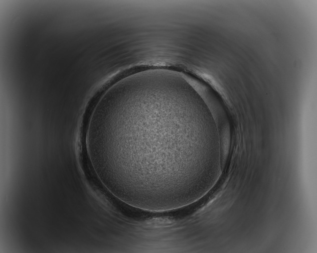 X0000088370536200705291329