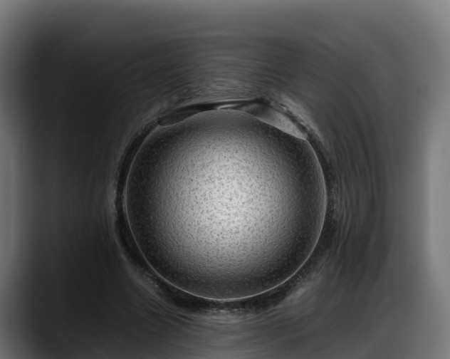 X0000088370538200705291329