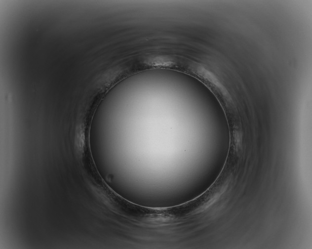 X0000088370541200705291329