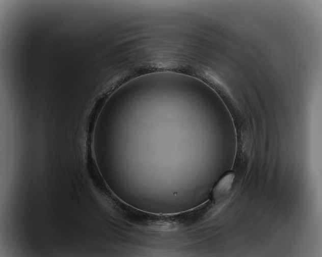 X0000088370542200705291329