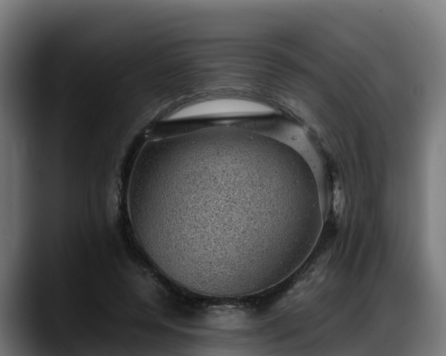 X0000088370544200705291329