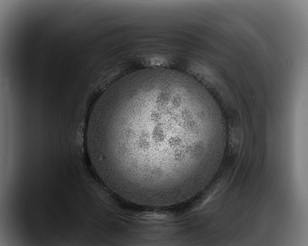 X0000088370545200705291329