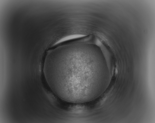 X0000088370546200705291329