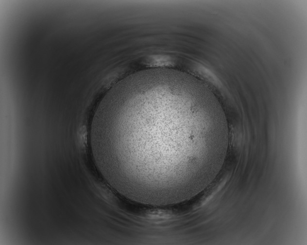 X0000088370549200705291329