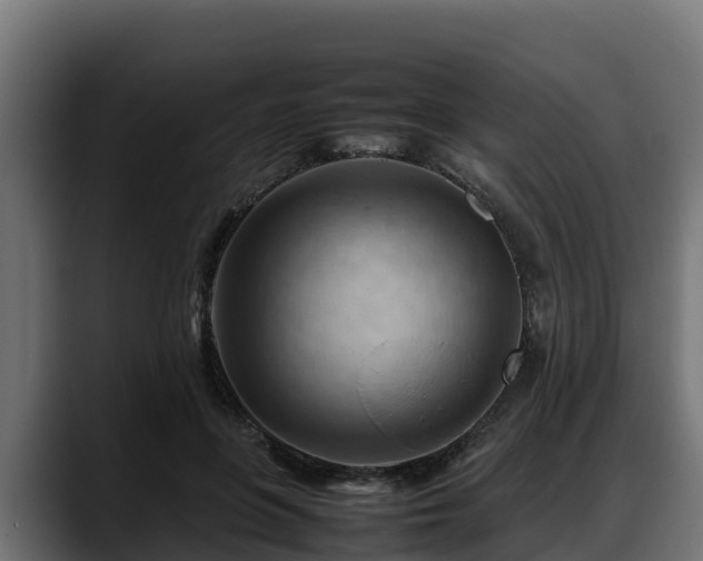 X0000088370551200705291329
