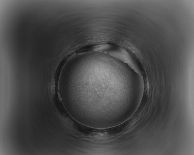 X0000088370552200705291329