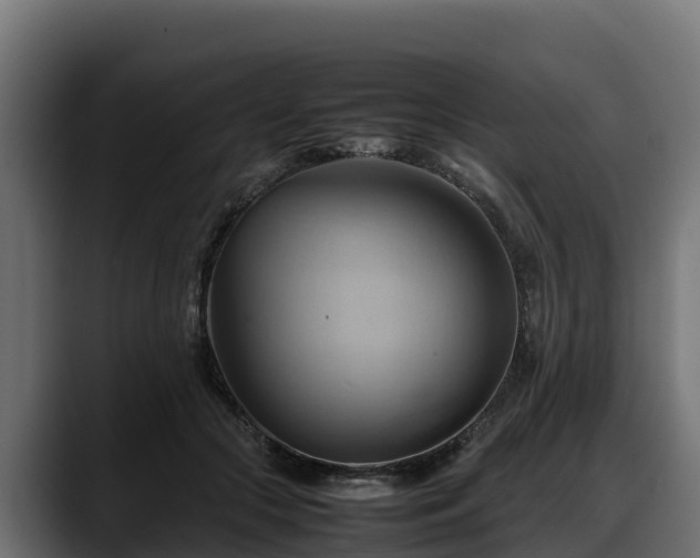 X0000088370553200705291329