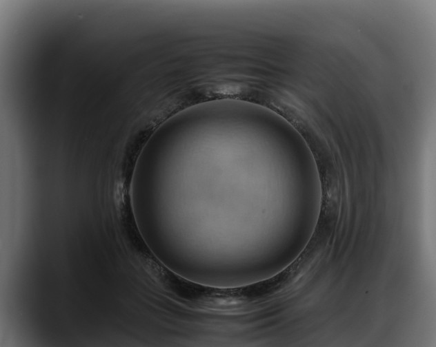 X0000088370555200705291329