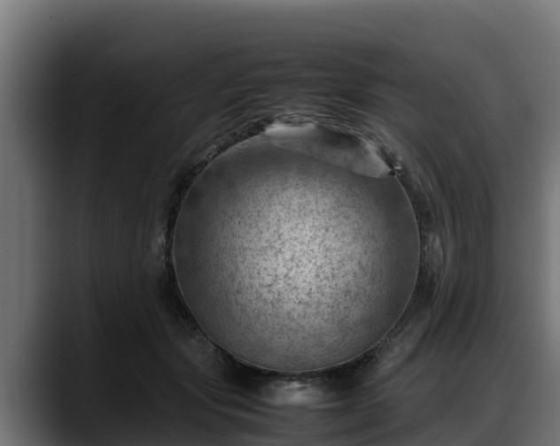 X0000088370557200705291330