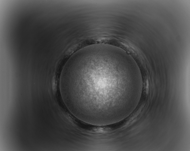 X0000088370558200705291330