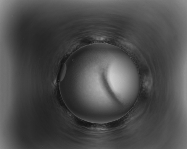 X0000088370559200705291330