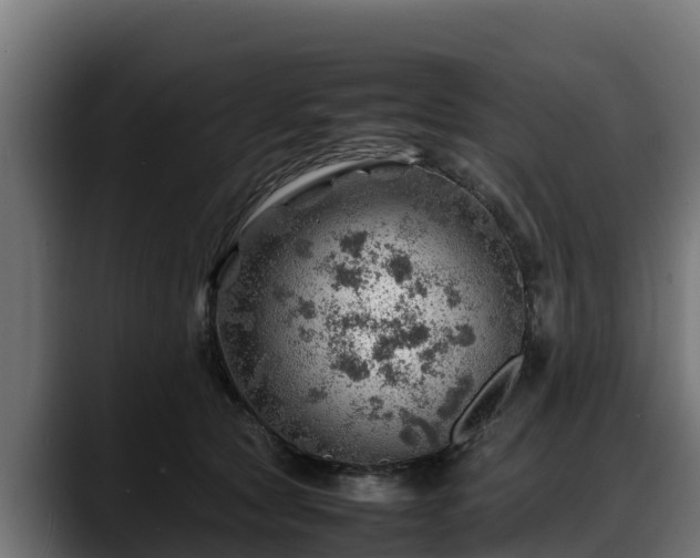 X0000088370561200705291330
