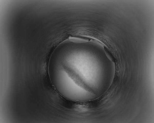 X0000088370563200705291330