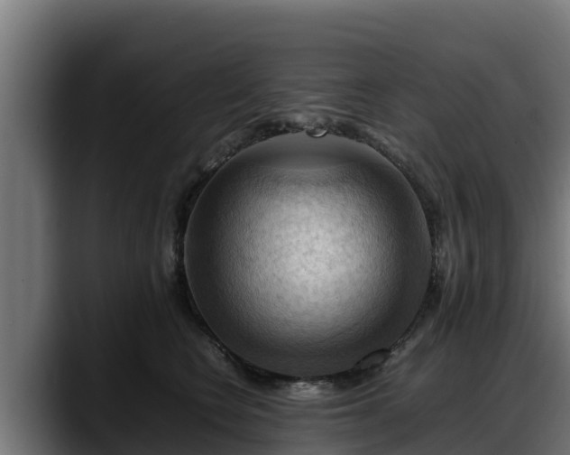 X0000088370566200705291330