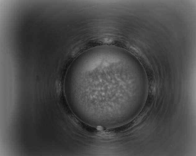 X0000088370568200705291330