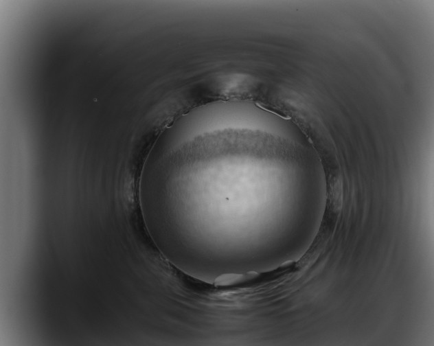 X0000088370571200705291330